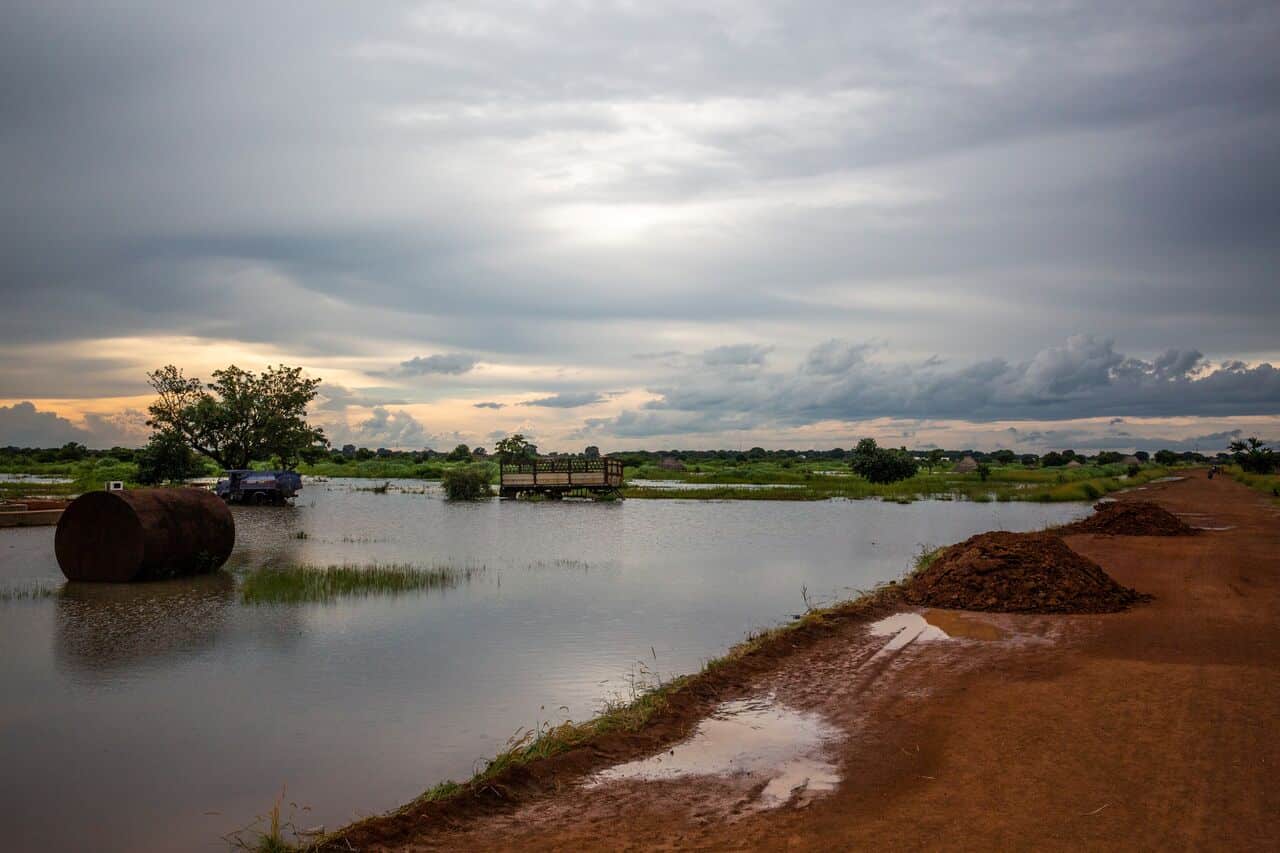 Sélection environnement_Soudan du Sud _ © Patrick Meinhardt ALIMA_3