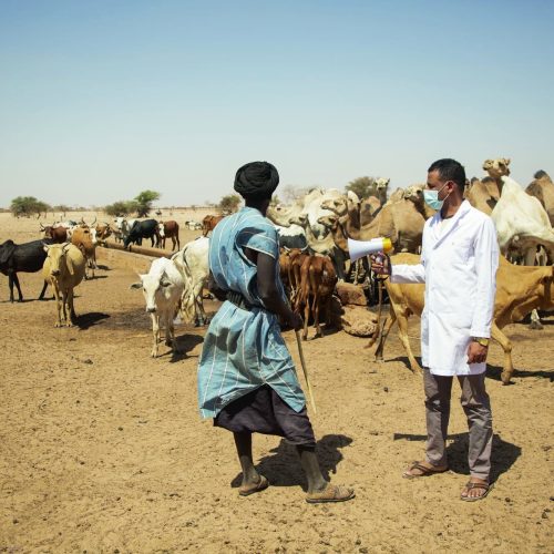 Photo 1 - ALIMA_Mauritanie_Bassikounou_COVID-19_2022_Seyba Keita 15